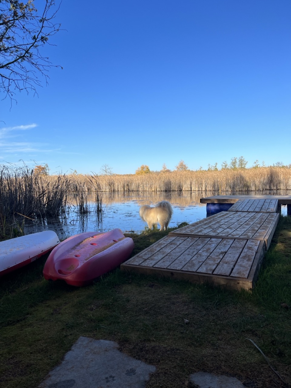 Sunset over the dock with kayaks